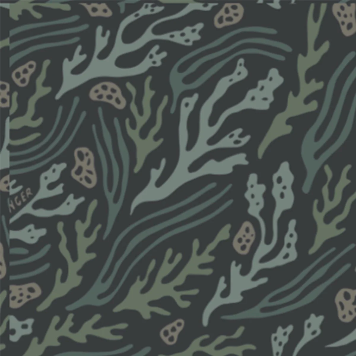 Thumbnail 15